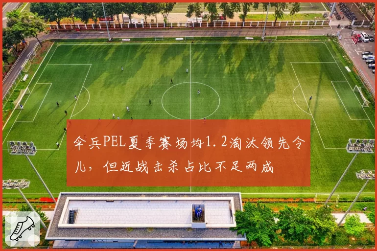 伞兵PEL夏季赛场均1.2淘汰领先令儿,但近战击杀占比不足两成
