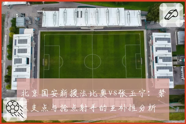 北京国安新援法比奥vs张玉宁：禁区支点与抢点射手的互补性分析