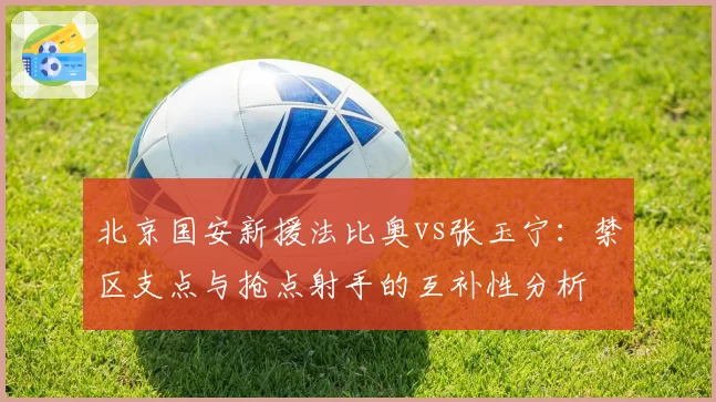 北京国安新援法比奥vs张玉宁：禁区支点与抢点射手的互补性分析